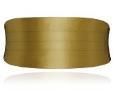 Cummerbund Gold